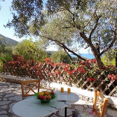 Agios Nikitas Villas Екстериор снимка
